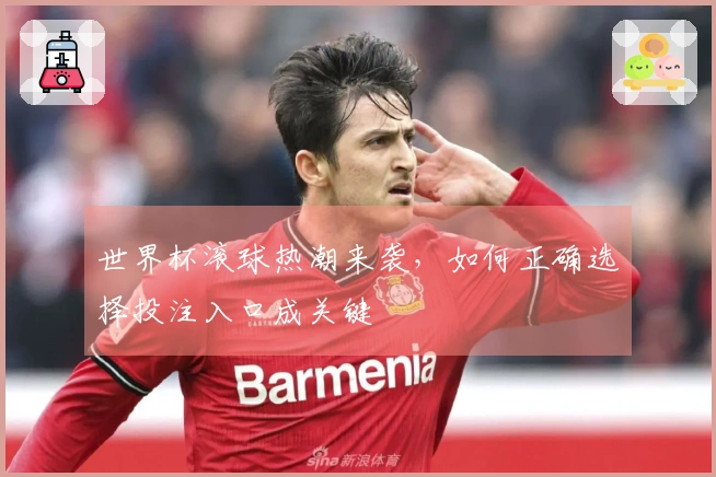 世界杯滚球热潮来袭，如何正确选择投注入口成关键